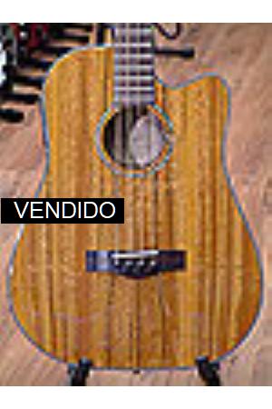Fender Victor Bailey Acstico